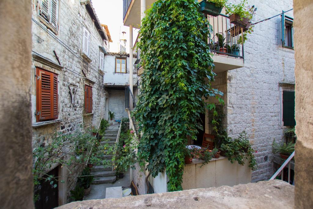 Toma Trogir